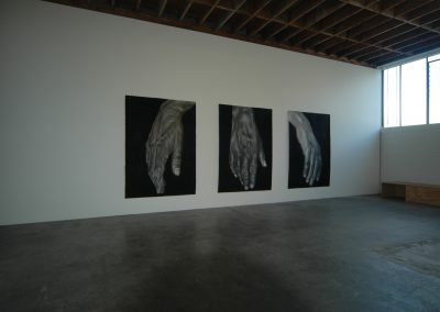 Hand Cycle , Fox Jensen 2012