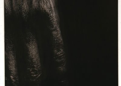 Hand MM carbon