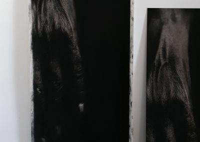 Hands MM studio