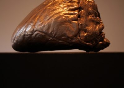 Heart 3 Fox Jensen Galley Auckland 2015
