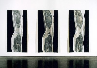 Istallation torsos Mori Gallery 2002