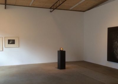 Jensen Gallery 2014