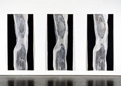Melissa Coote Torso 1,2&3 Mori Gallery