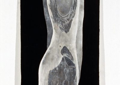 Melissa Coote Torso 2 20002
