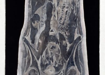 Melissa Coote Torso A 2001