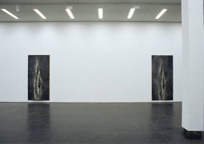 02_VAGINA_INSTALL_MORI_L