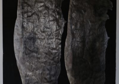 6176648608_IMG_1215