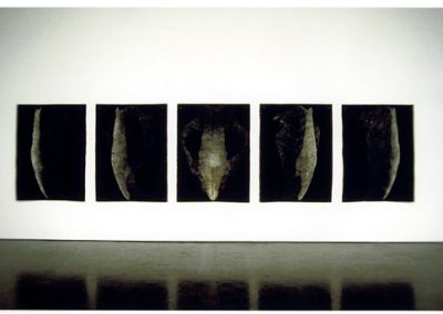 MARSUPIAL_SERIES