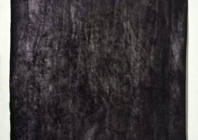Melissa Coote Black Fossil 1 2005