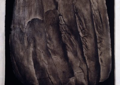 Melissa Coote Whale Bone_